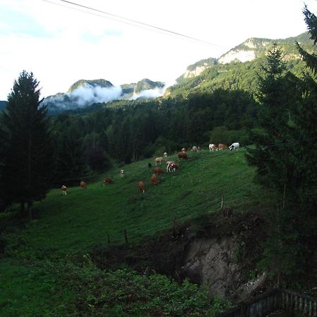 Holiday Home Bela Bohinjska Bela Bagian luar foto
