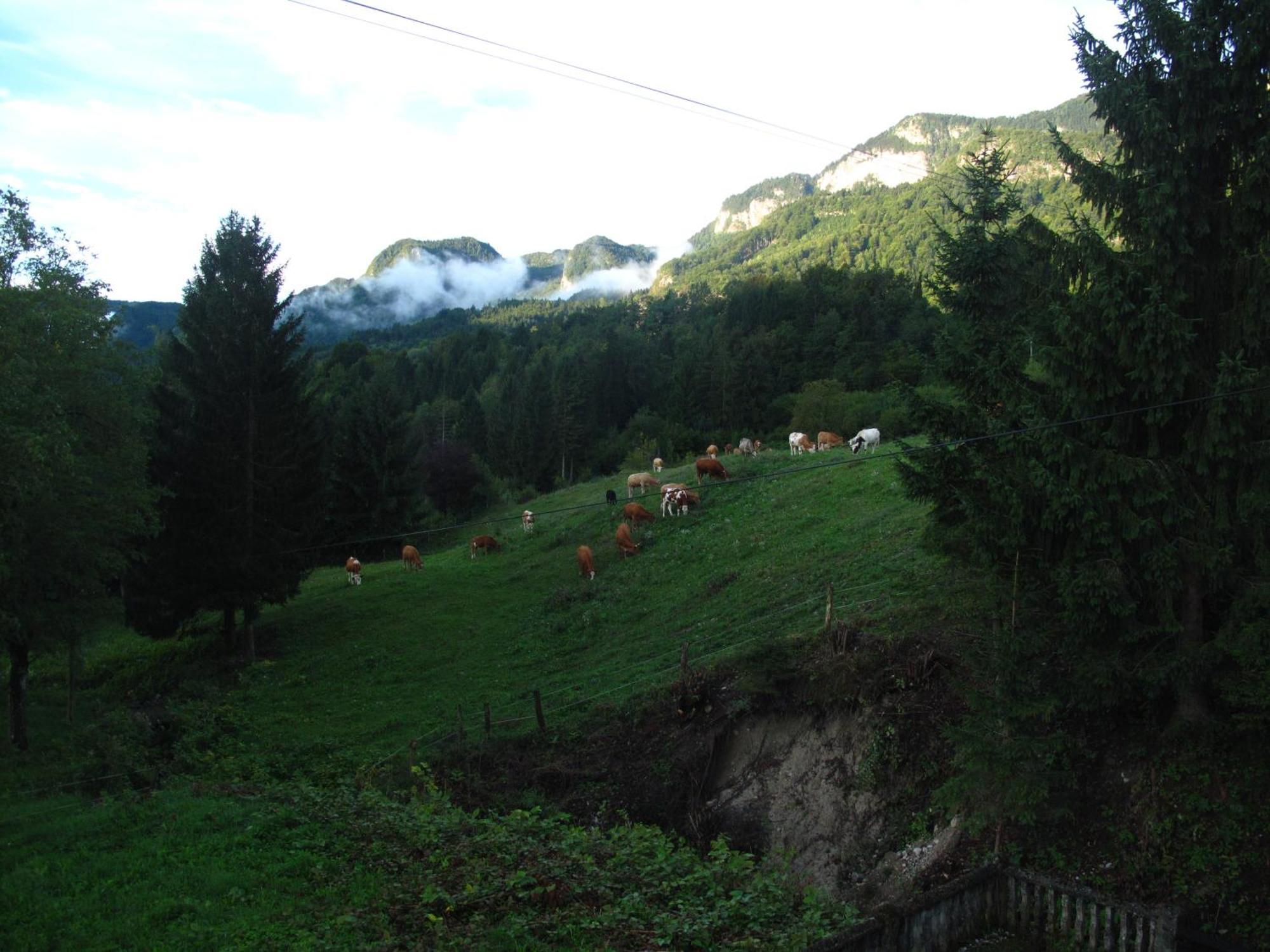 Holiday Home Bela Bohinjska Bela Bagian luar foto
